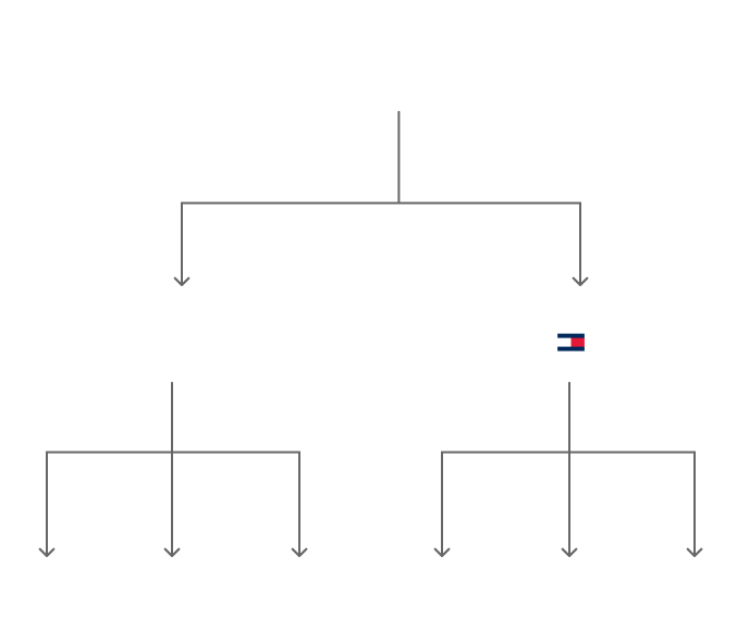 CVF diagram